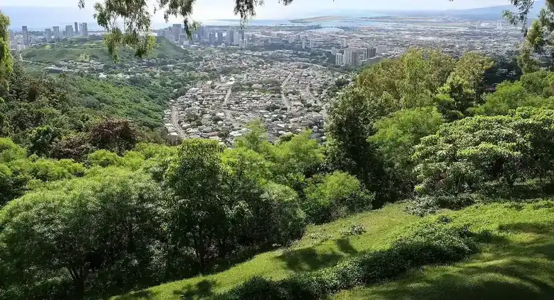 Hillside view down a valley of homes toward Honolulu and the coast